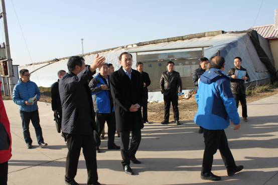 2026�����������±�