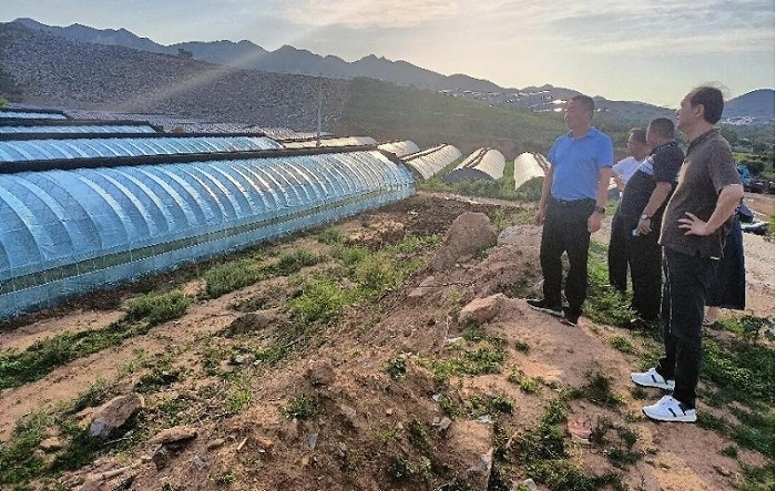 2026�����������±�