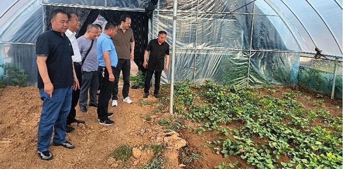 2026�����������±�