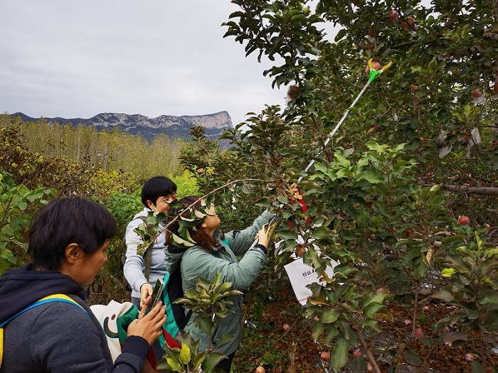 2026�����������±�