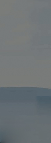 2026�����������±�