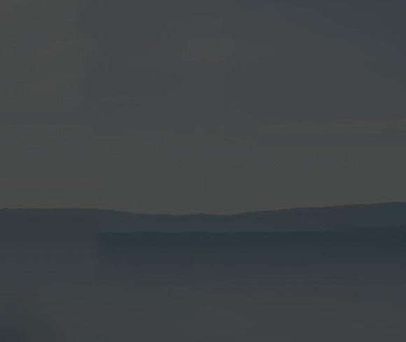 2026�����������±�